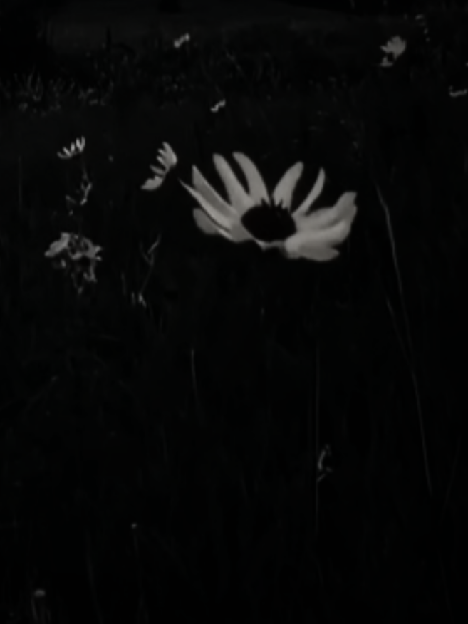 @🥀