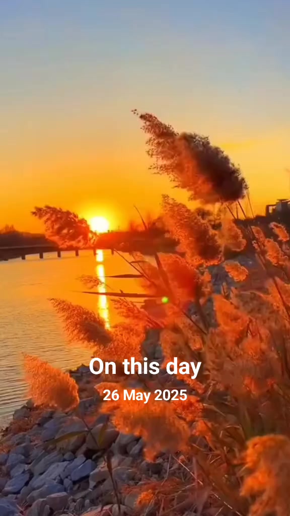 @Nasriinbaby