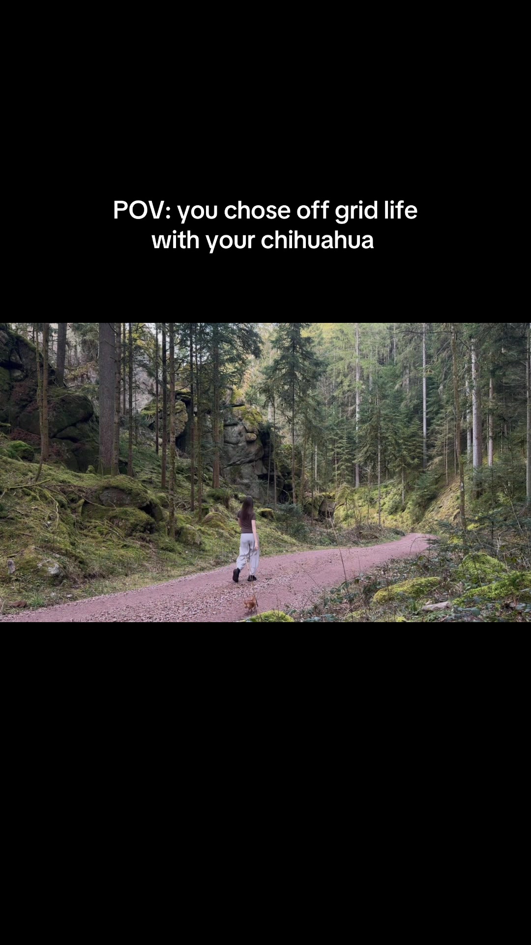 @finonka