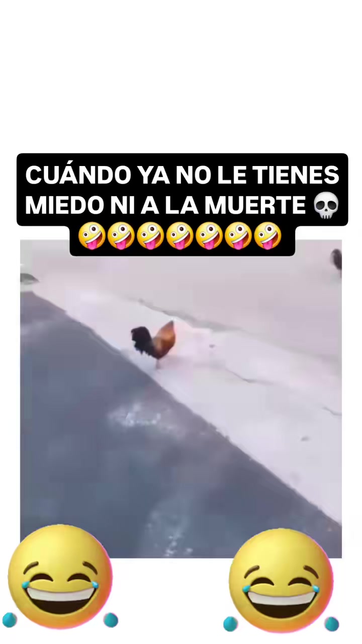 @Francisco Ulises jacinto
