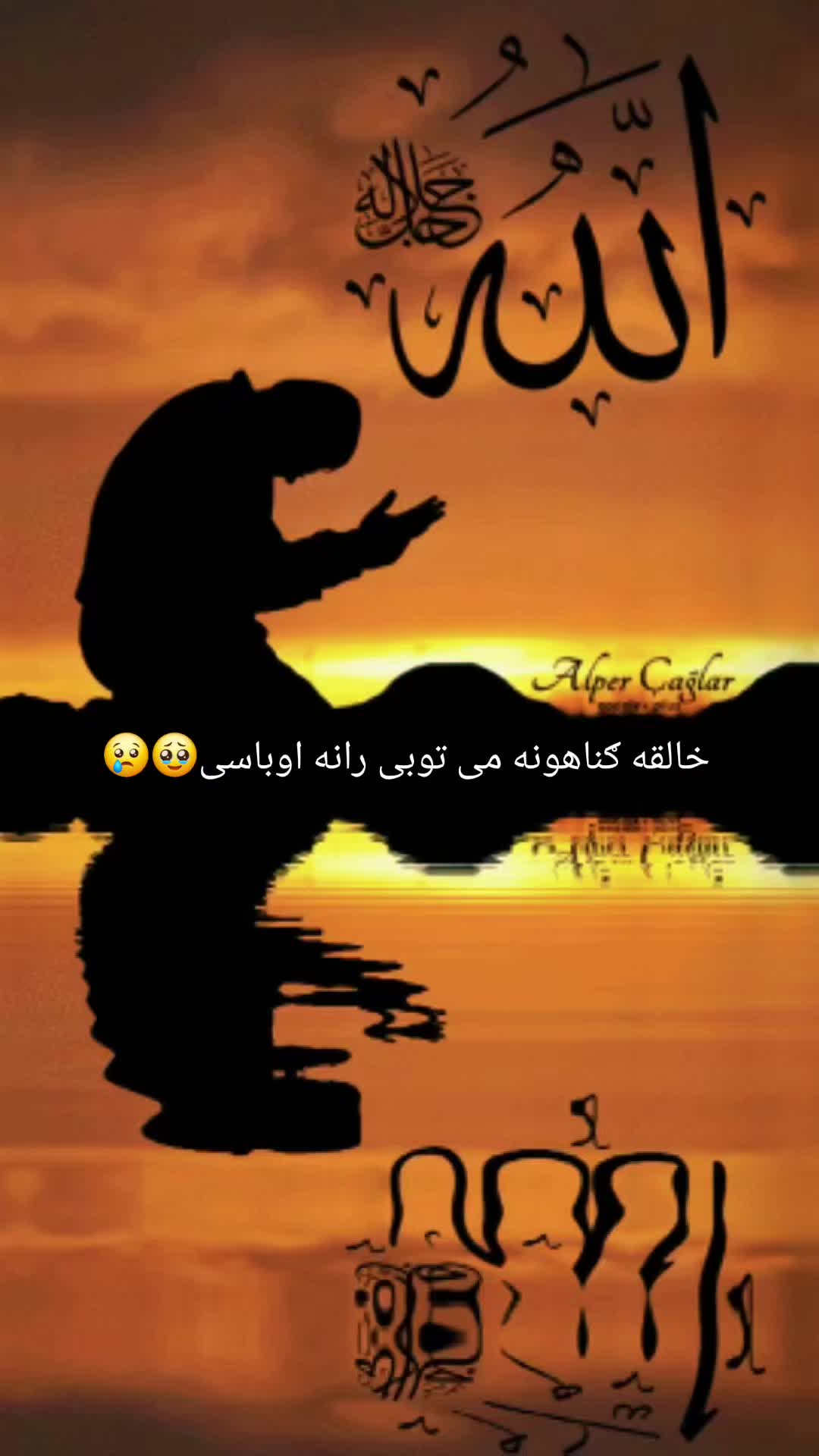@Noman 🍁