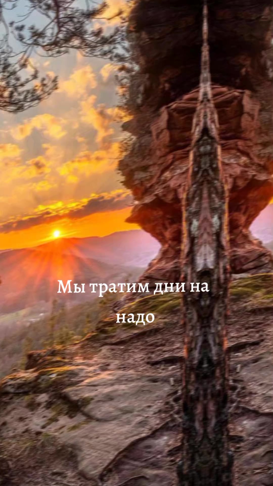 @Елена
