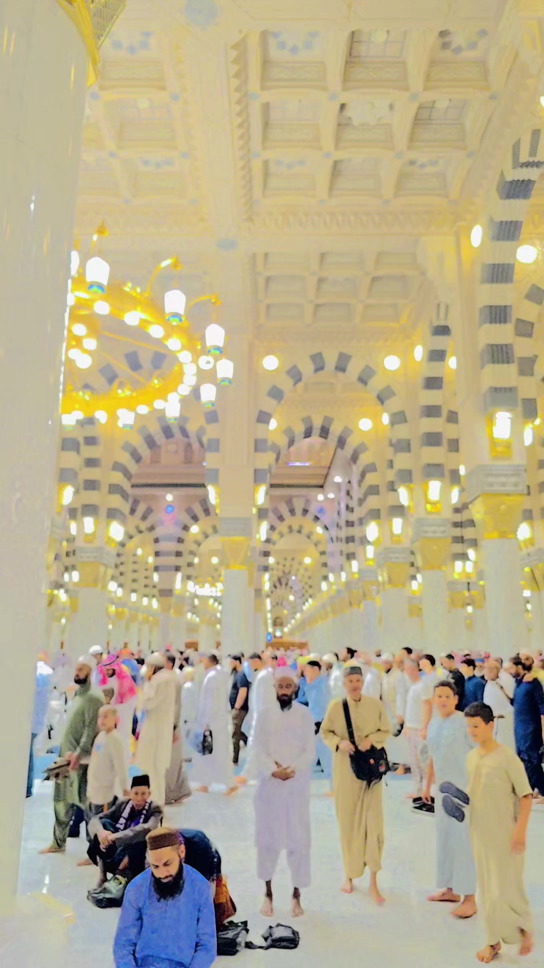 @پـﹻﹻۛ۬ـرنـس عــامـﹿٰٰٖٖٜ۬ﹻـٰ۬ر