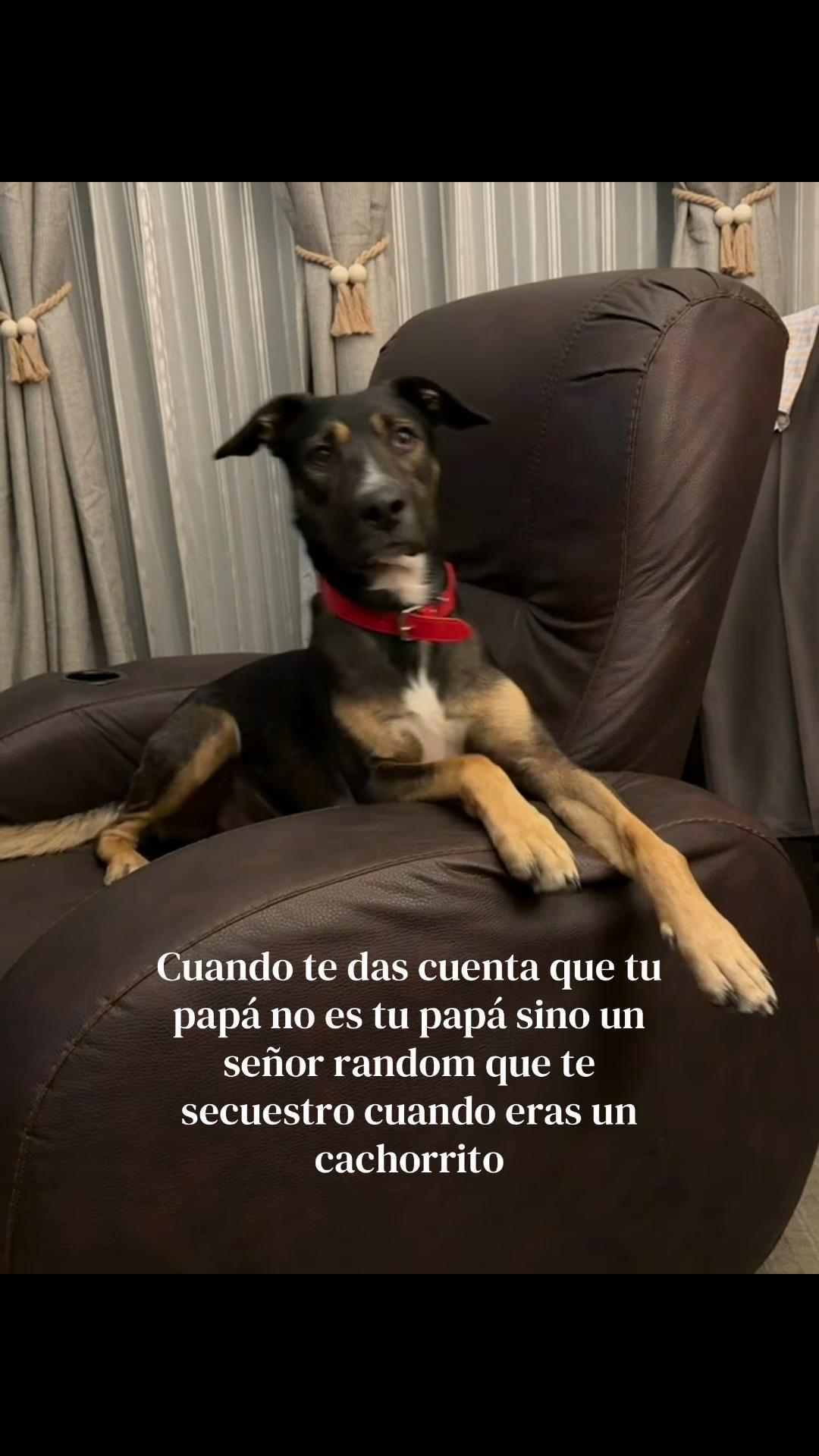 @Dangor🌙