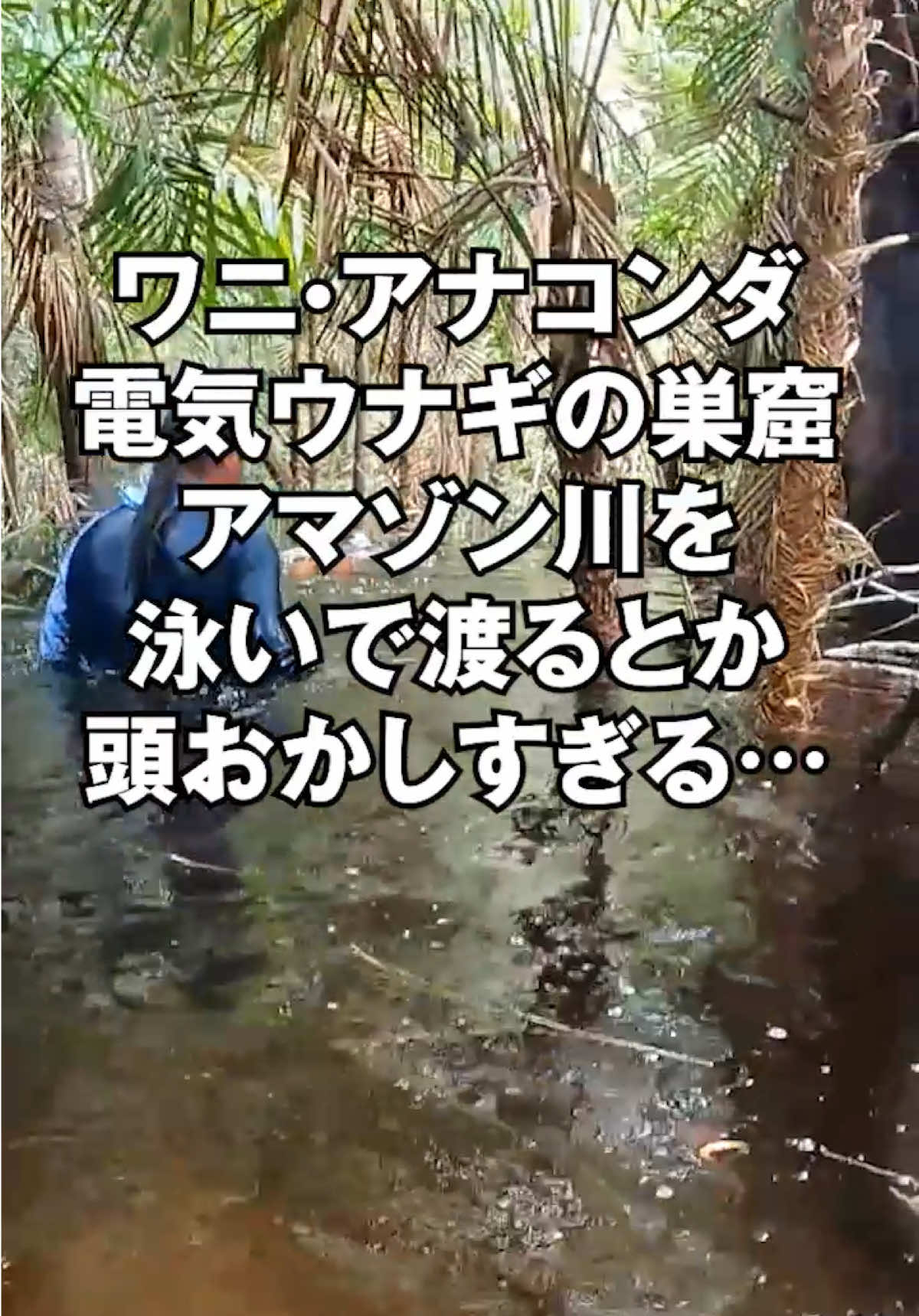 @エルドラド
