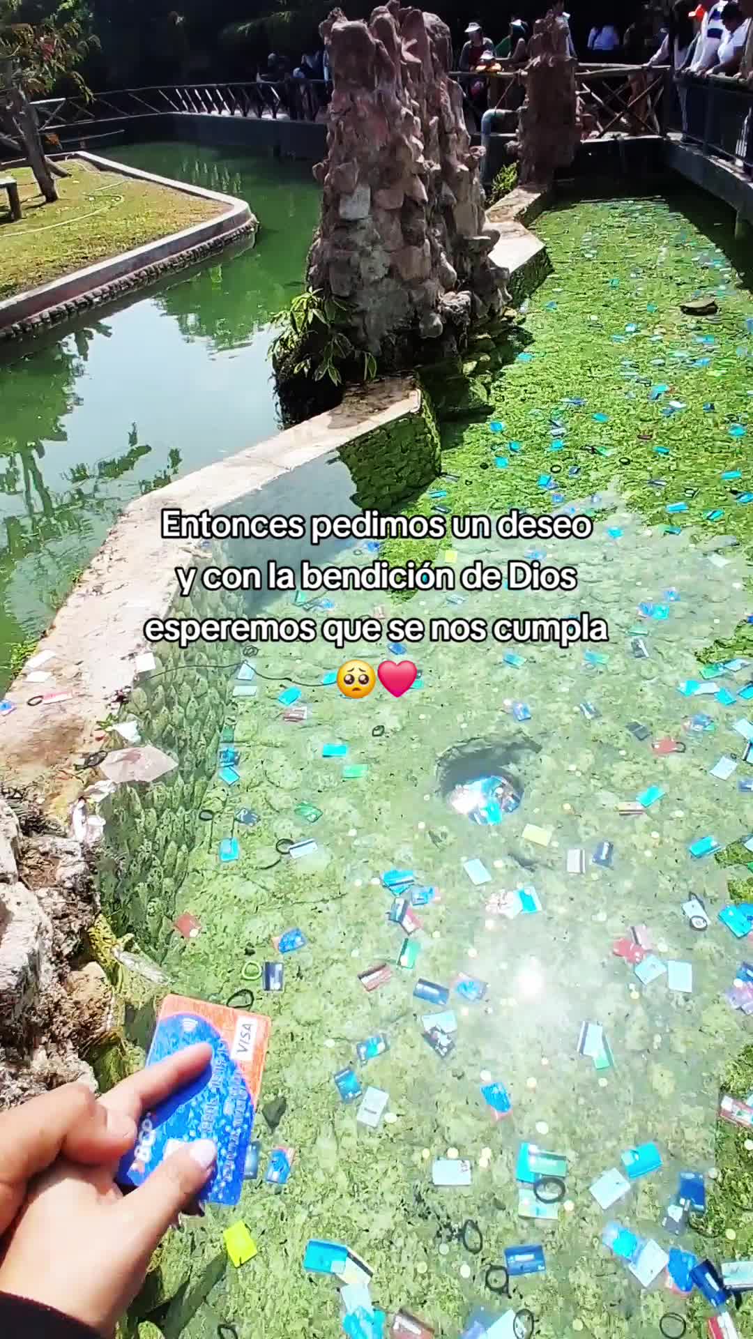 @🌺🌼Jossy🌼🌺