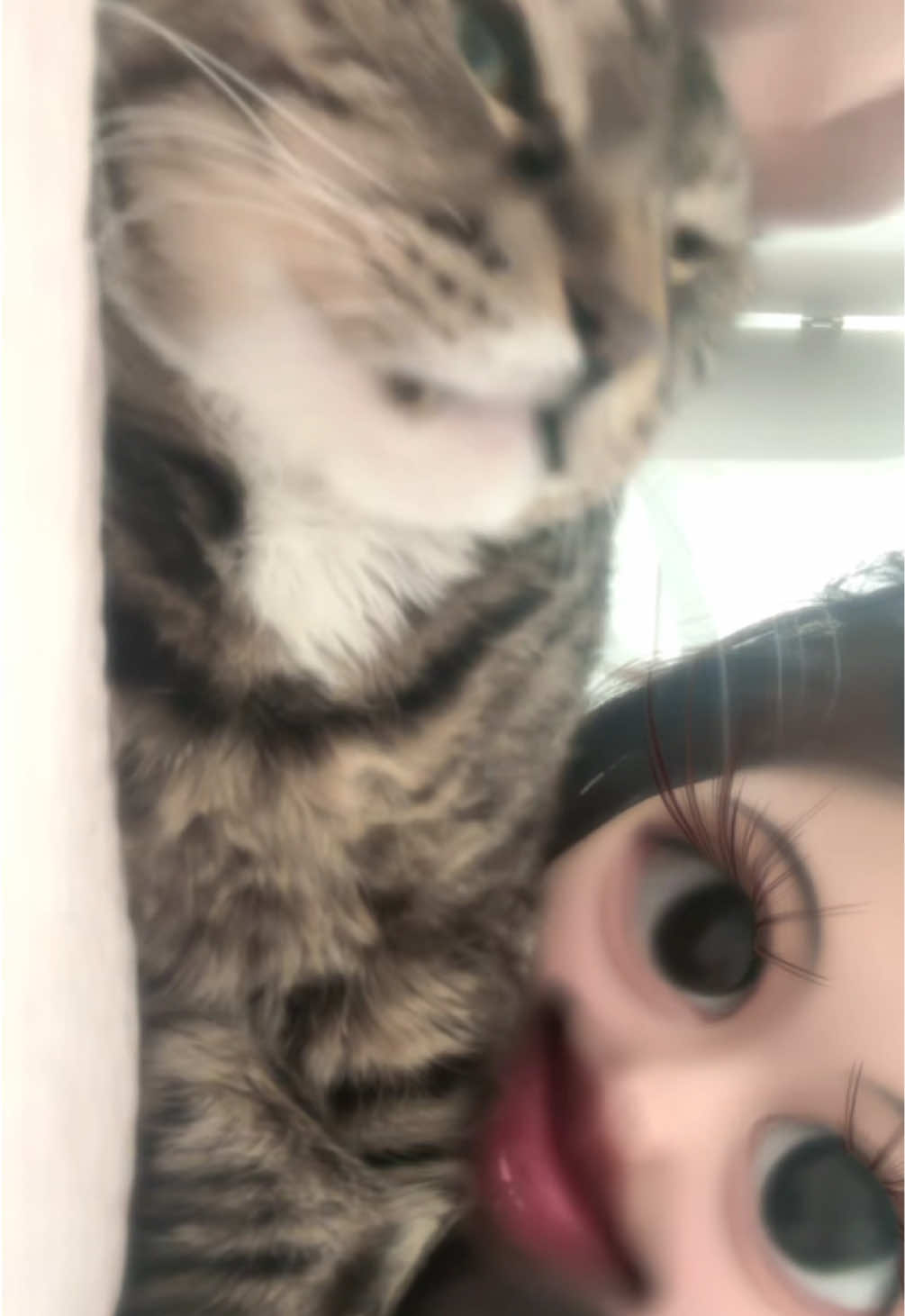 @ganzi_kitty