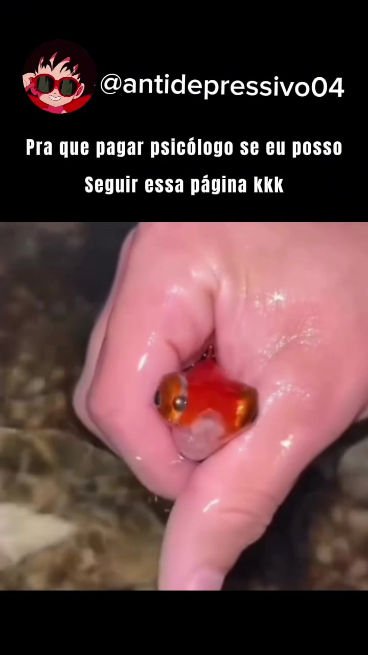 @antidepressivo04