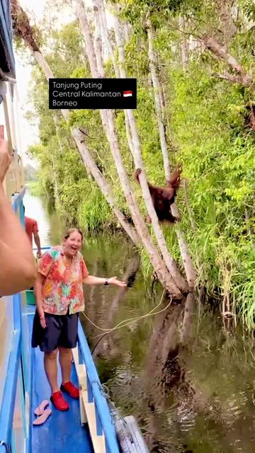 @Wonderful Tanjung Puting