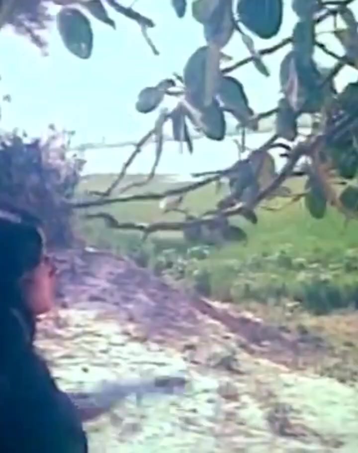 @জীবন থেকে হারিয়ে গেছে