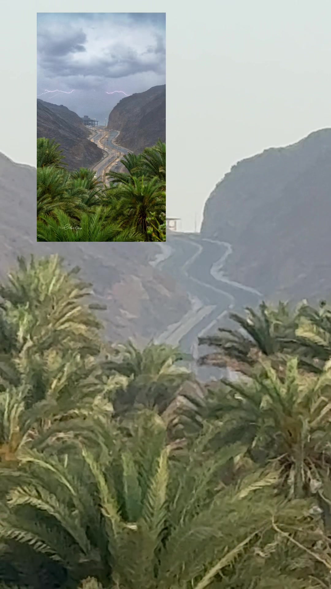 @يوسف حوكاش