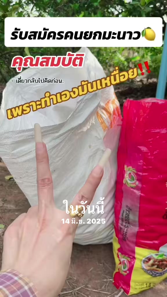 @เสื้อลูกไม้ PK Shop