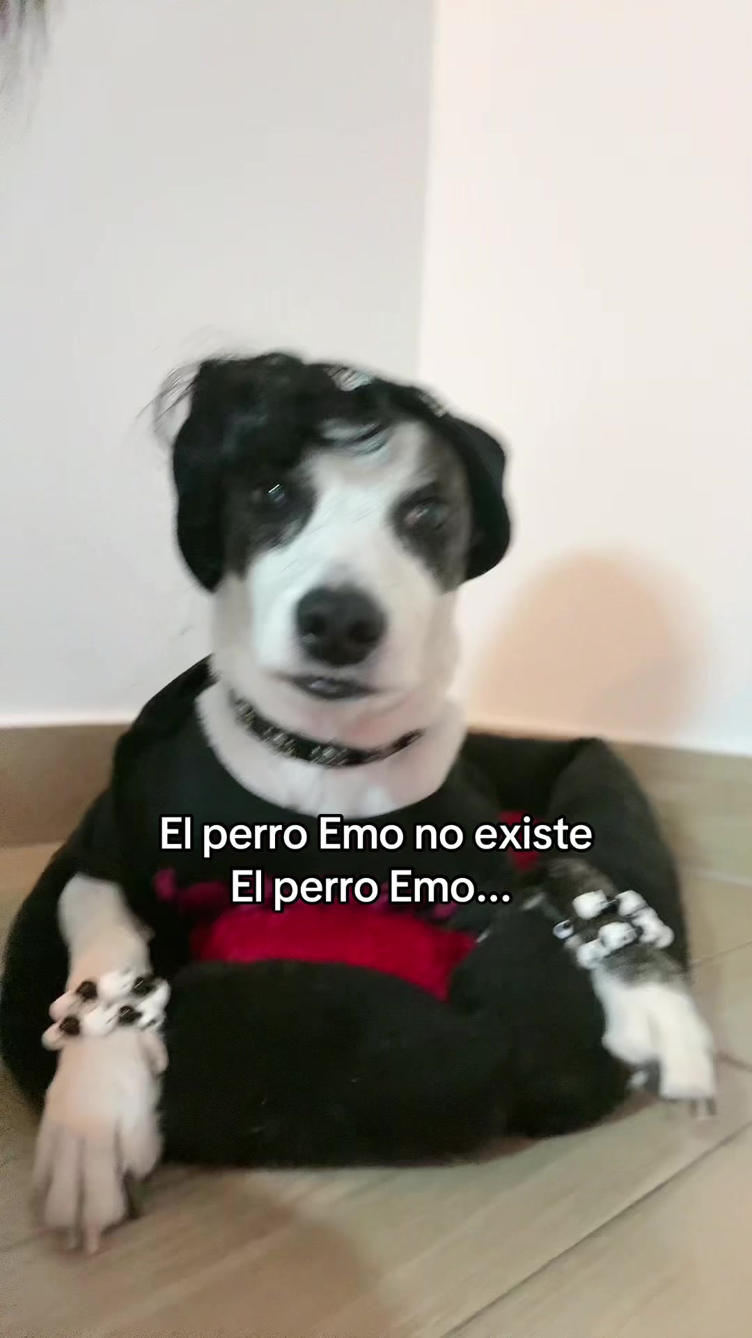 @EmOxita☹👻