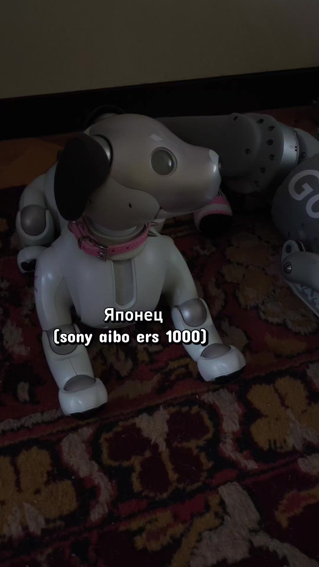 @Чевинстри