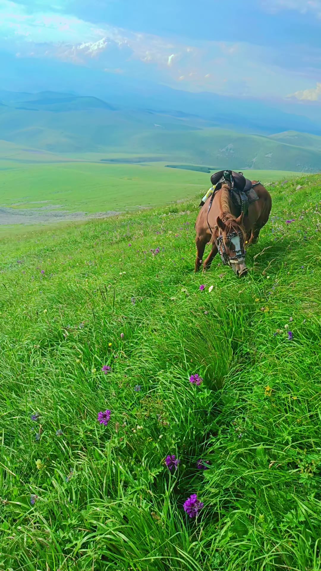 @Yalçın1