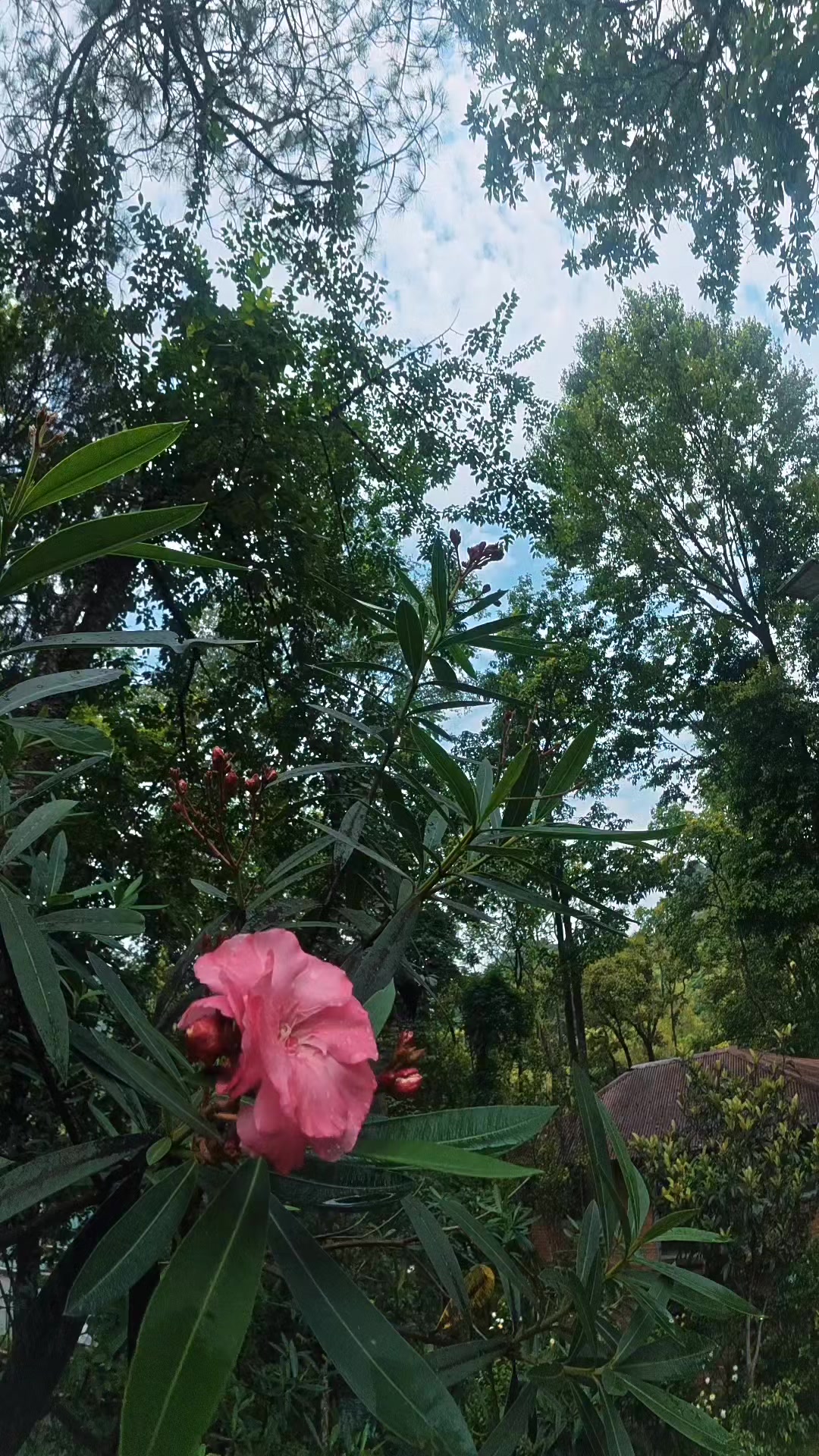 @ɪɴꜰɪɴɪᴛʏ®
