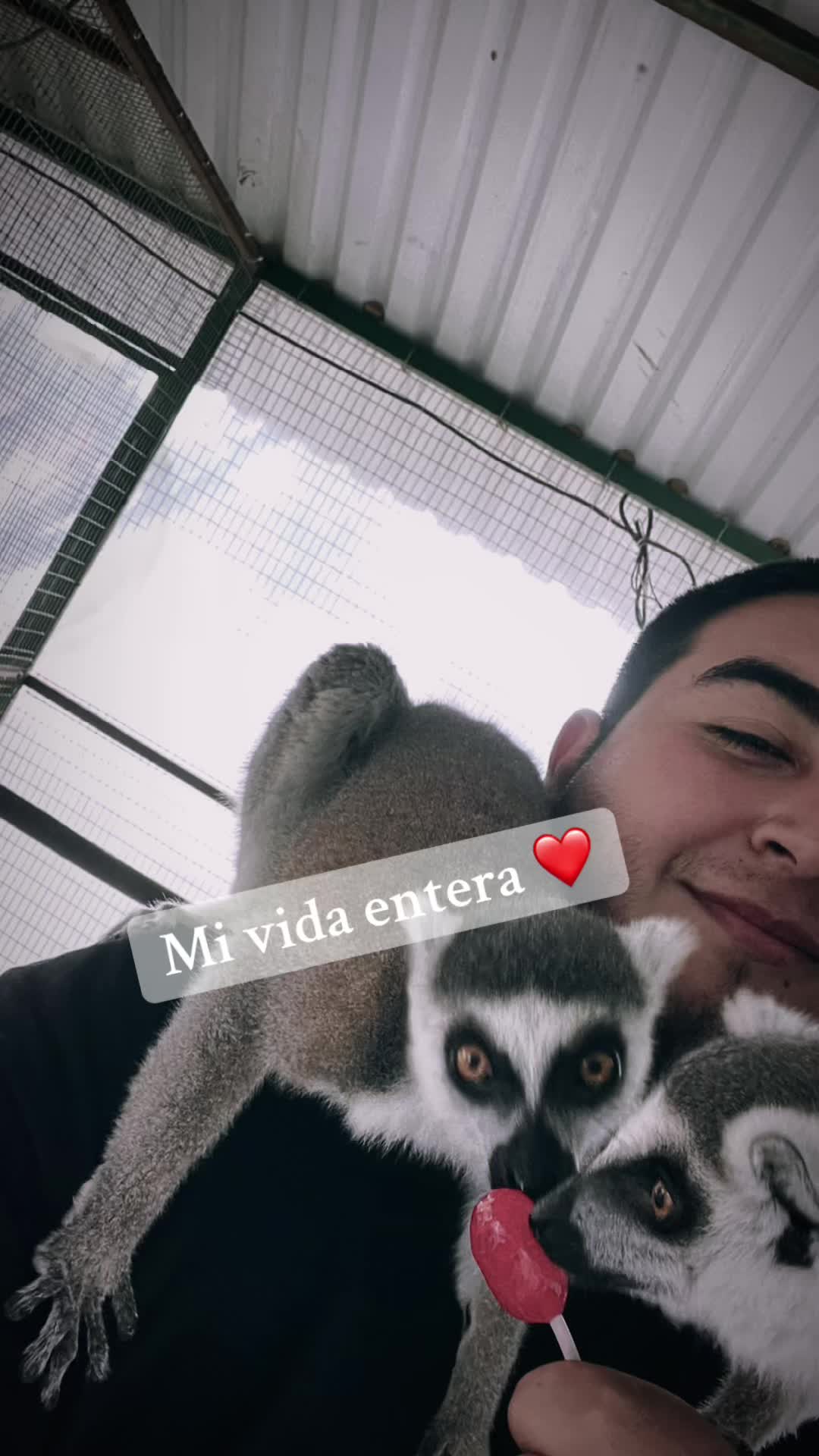 @Ricky Diablo 🔥