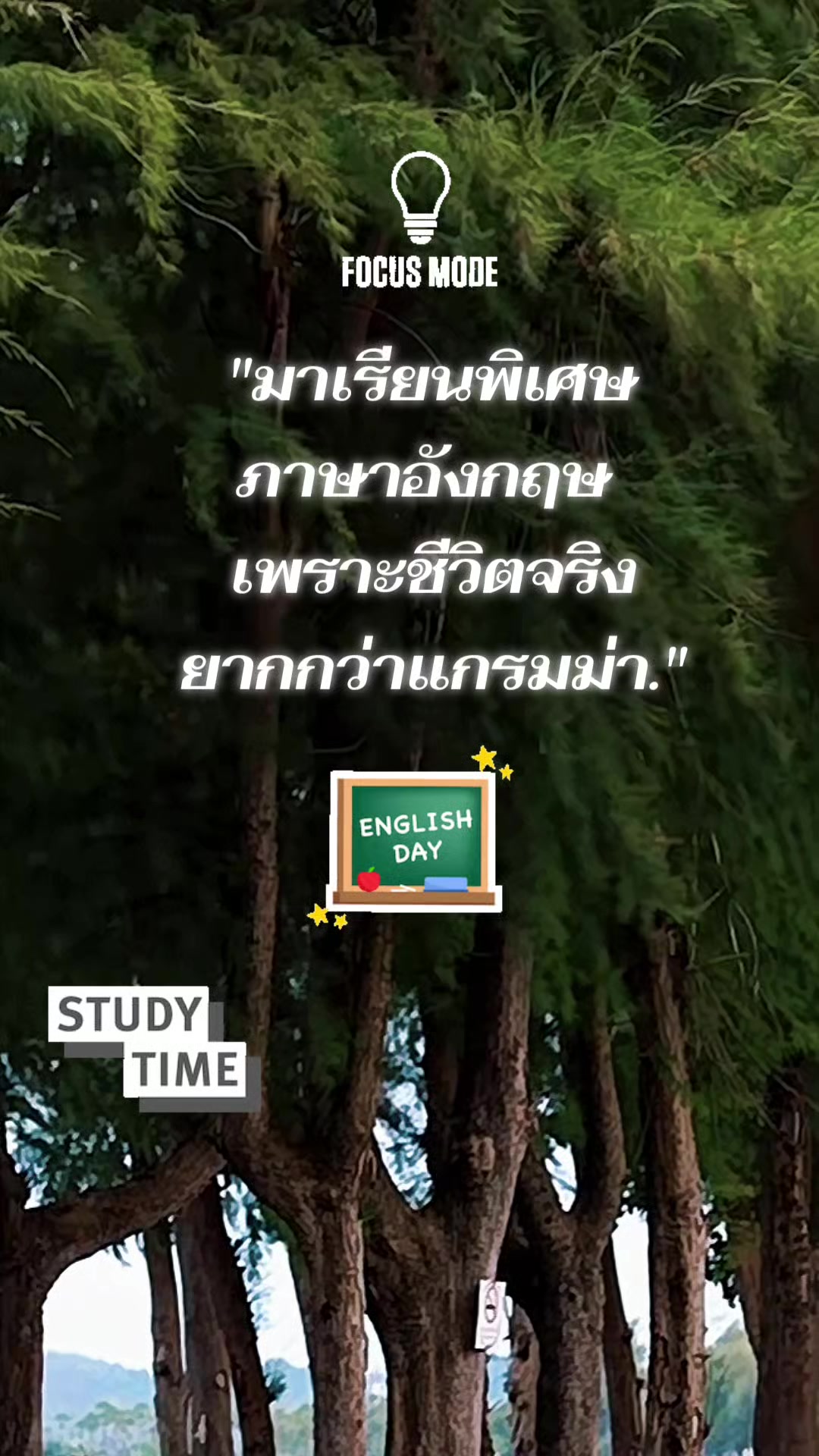 @Pamela Pam