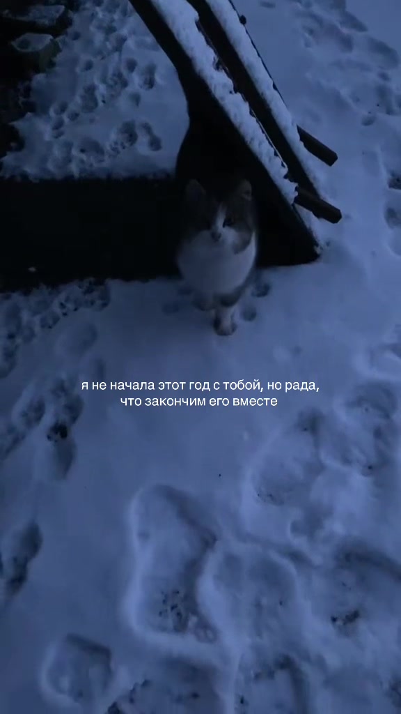 @шепот аски ленгли
