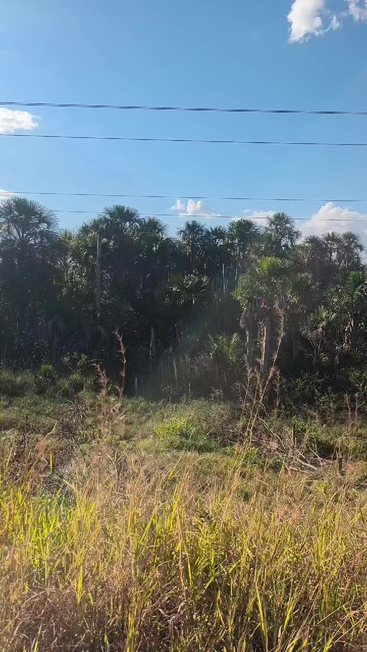 @IRA&Iacute; ANTUNES