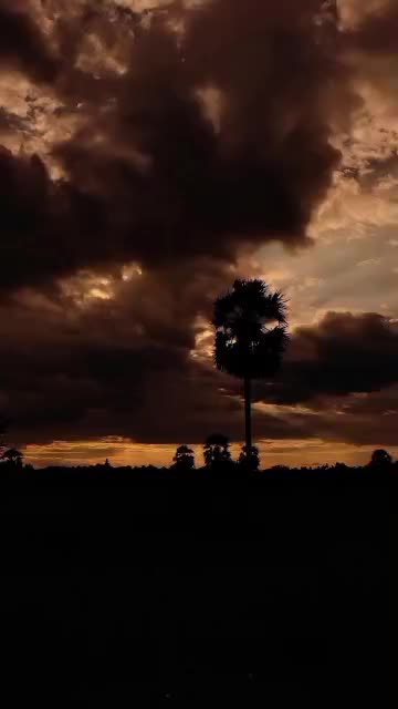 @💞Yamunadevi Jayabalan💞