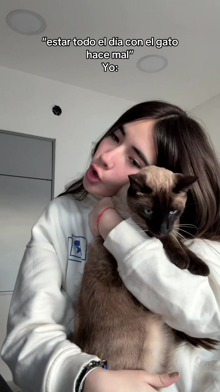 @Tori 🐈⬛