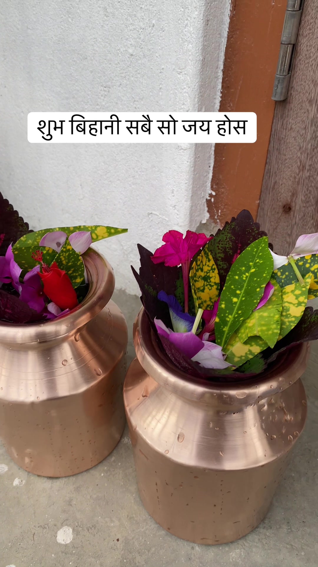 @Yog Maya Mishra Tims