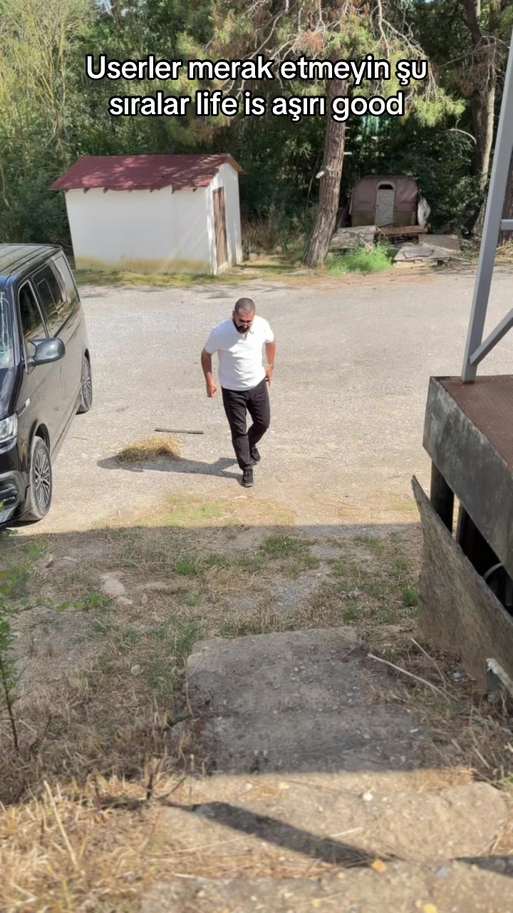 @yigit2p