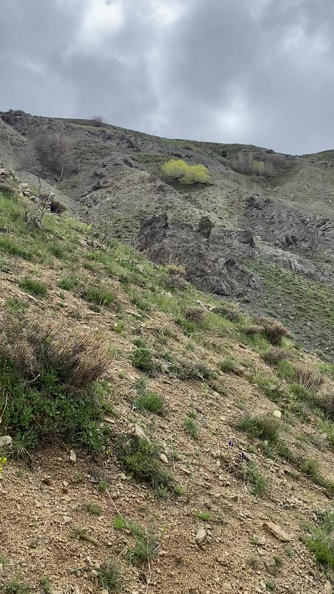 @Cananşkrli24