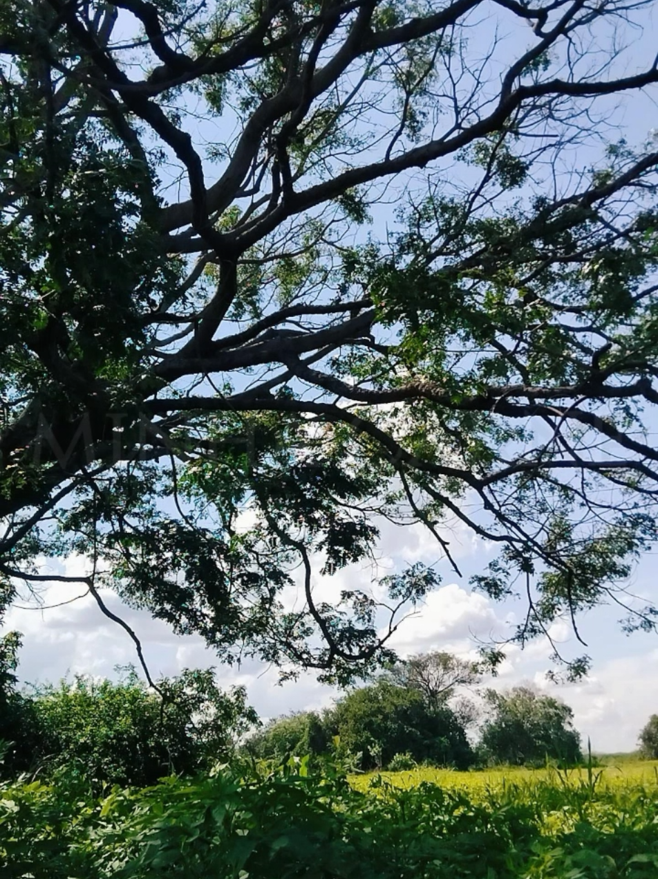 @Vanuza❤️&zwj;🔥