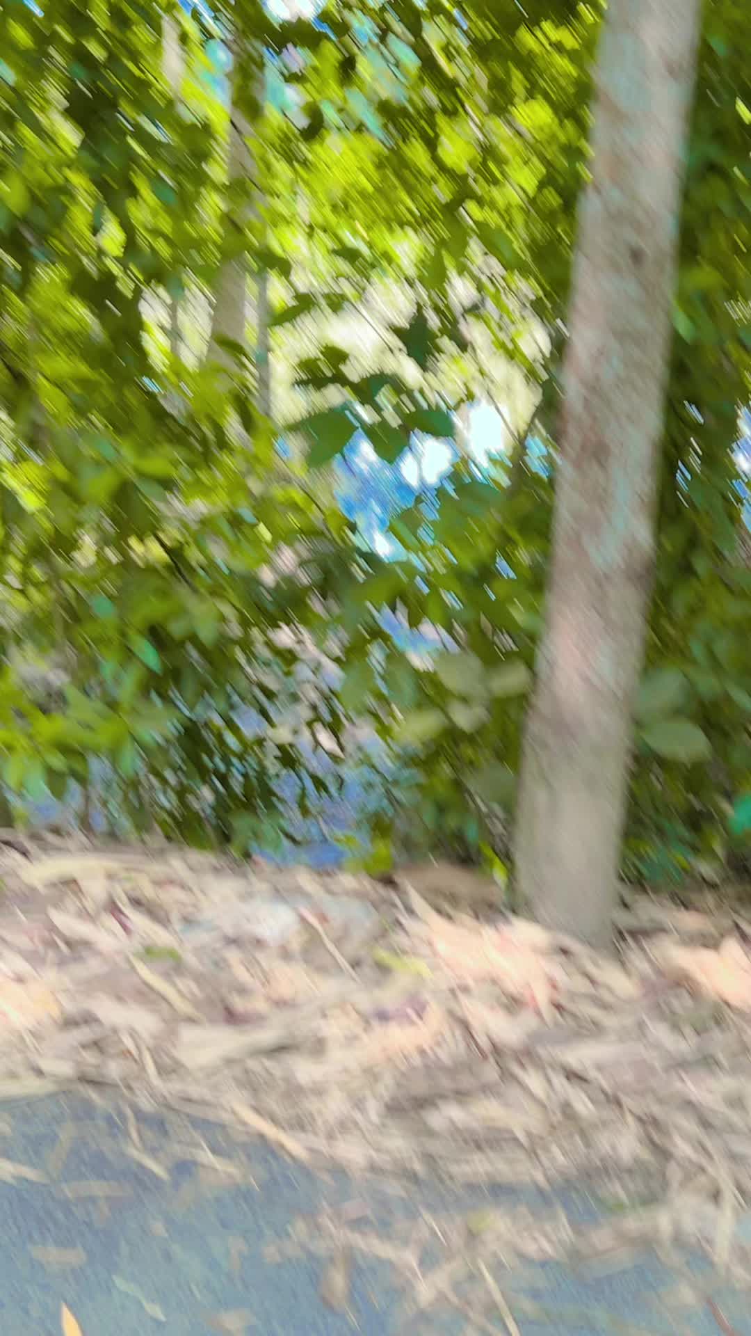 @❥◎⃝!ড্রামা কুইন༆♛🌼🦋