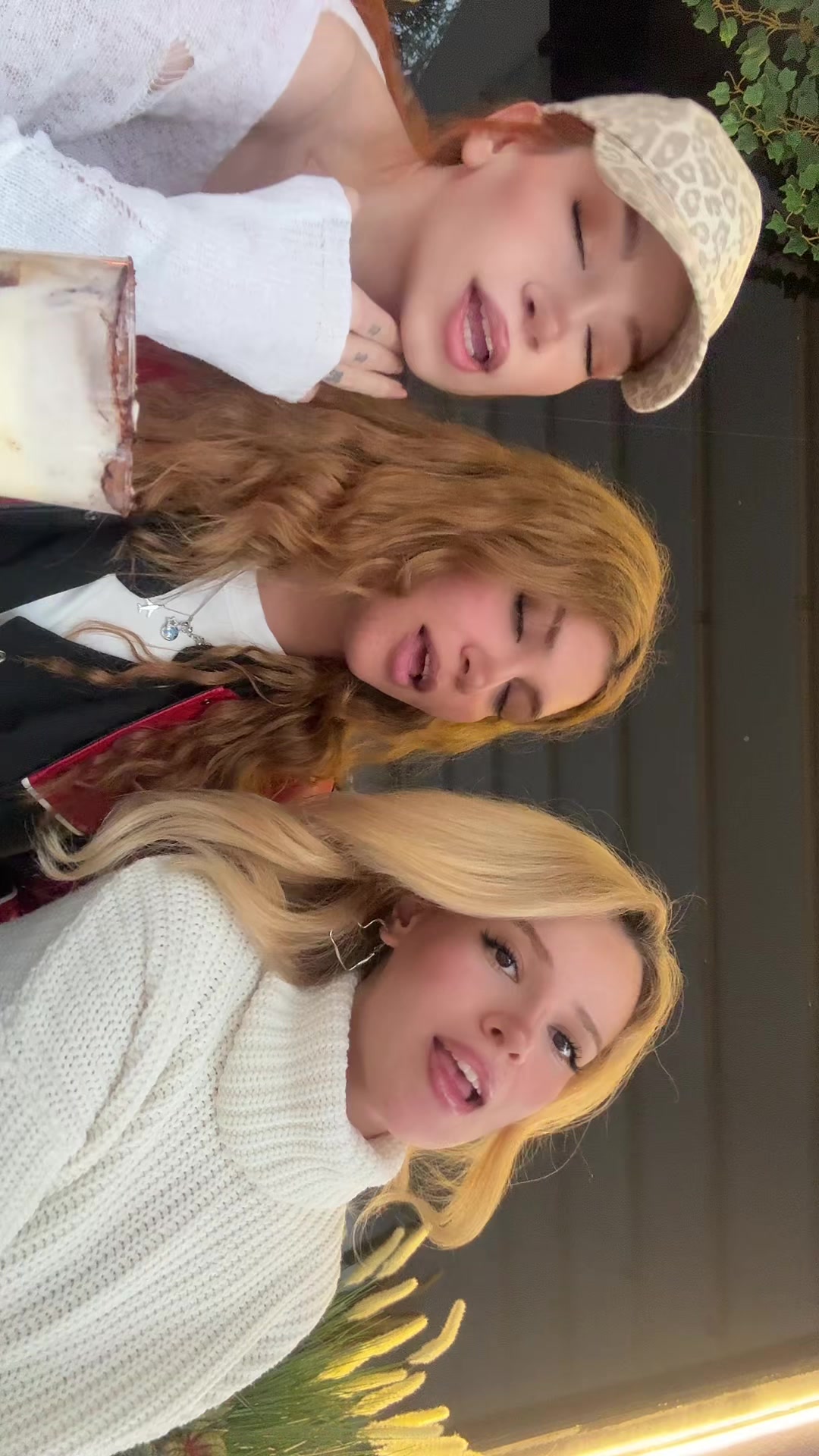 @elifsarauysal