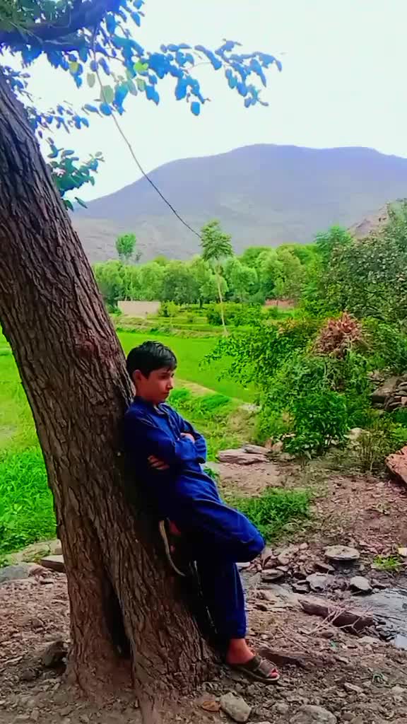 @zain ali