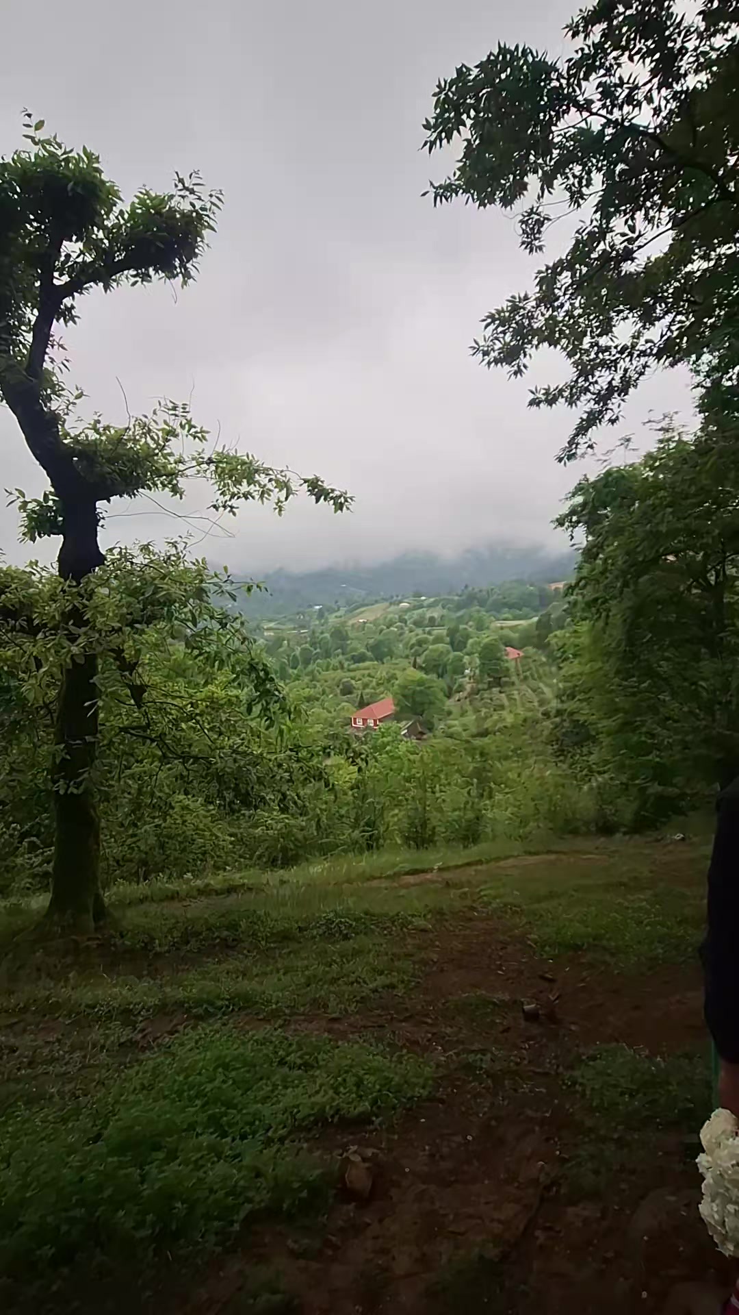 @wirin_qız🧚♀️😌