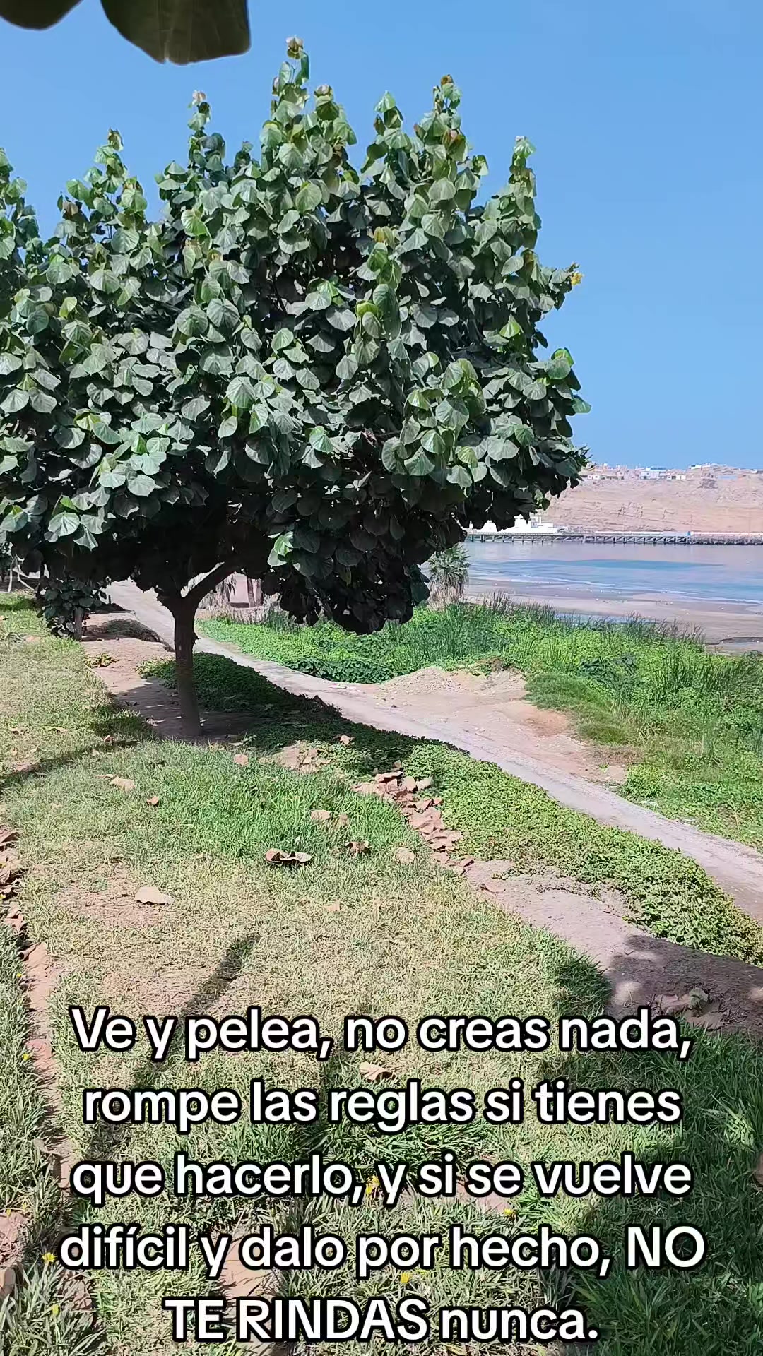 @Diego Trinidad