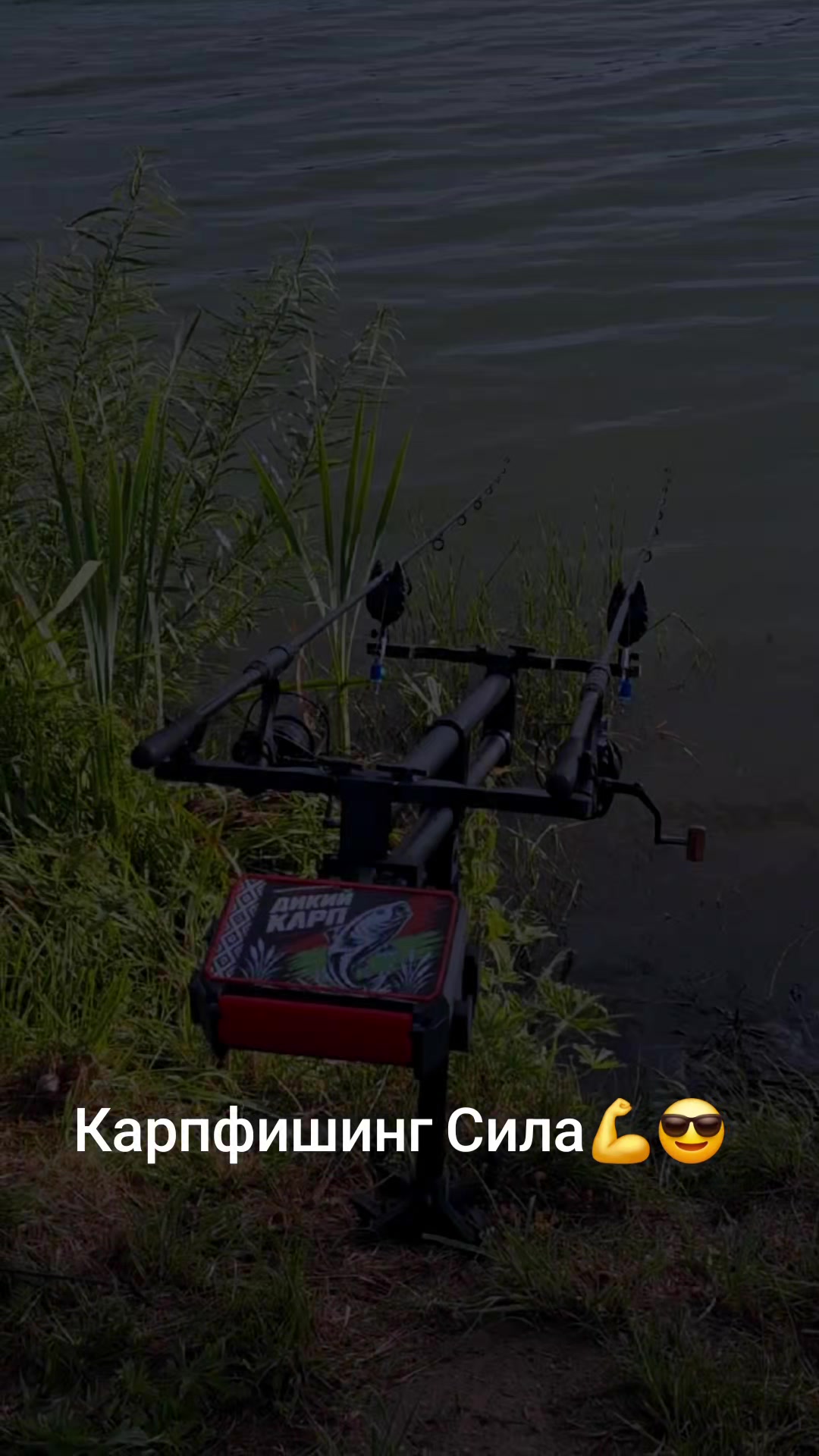 @Дикий карп рулит💪😎💪