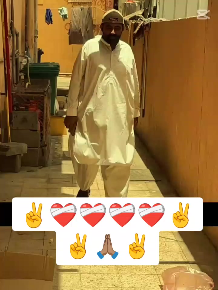 @03060781169❤️📞❤️