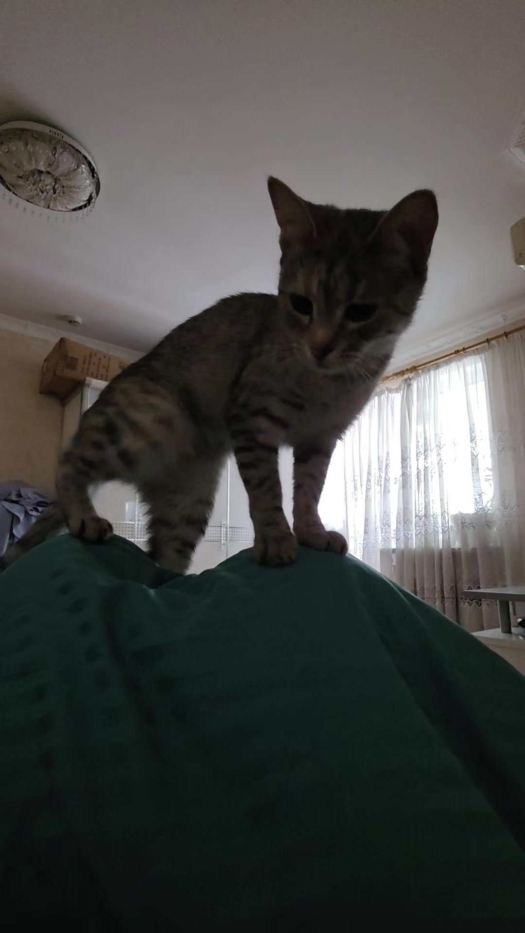 @Светлана