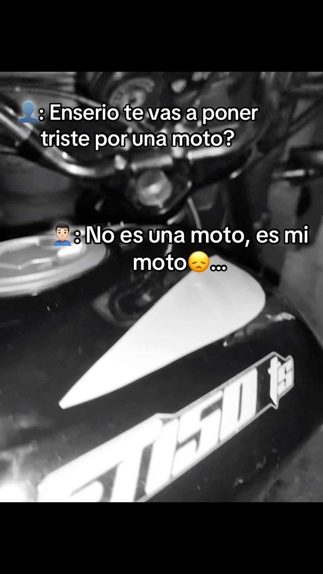 @🦨