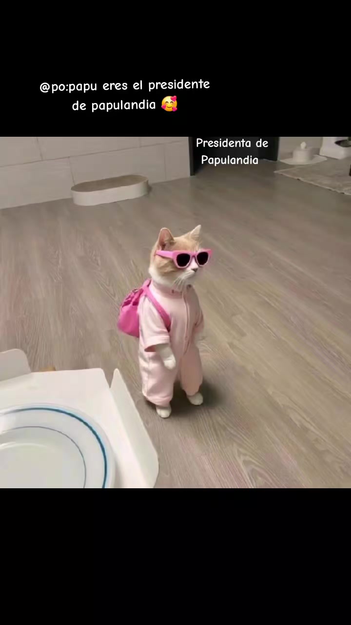 @Ivonne