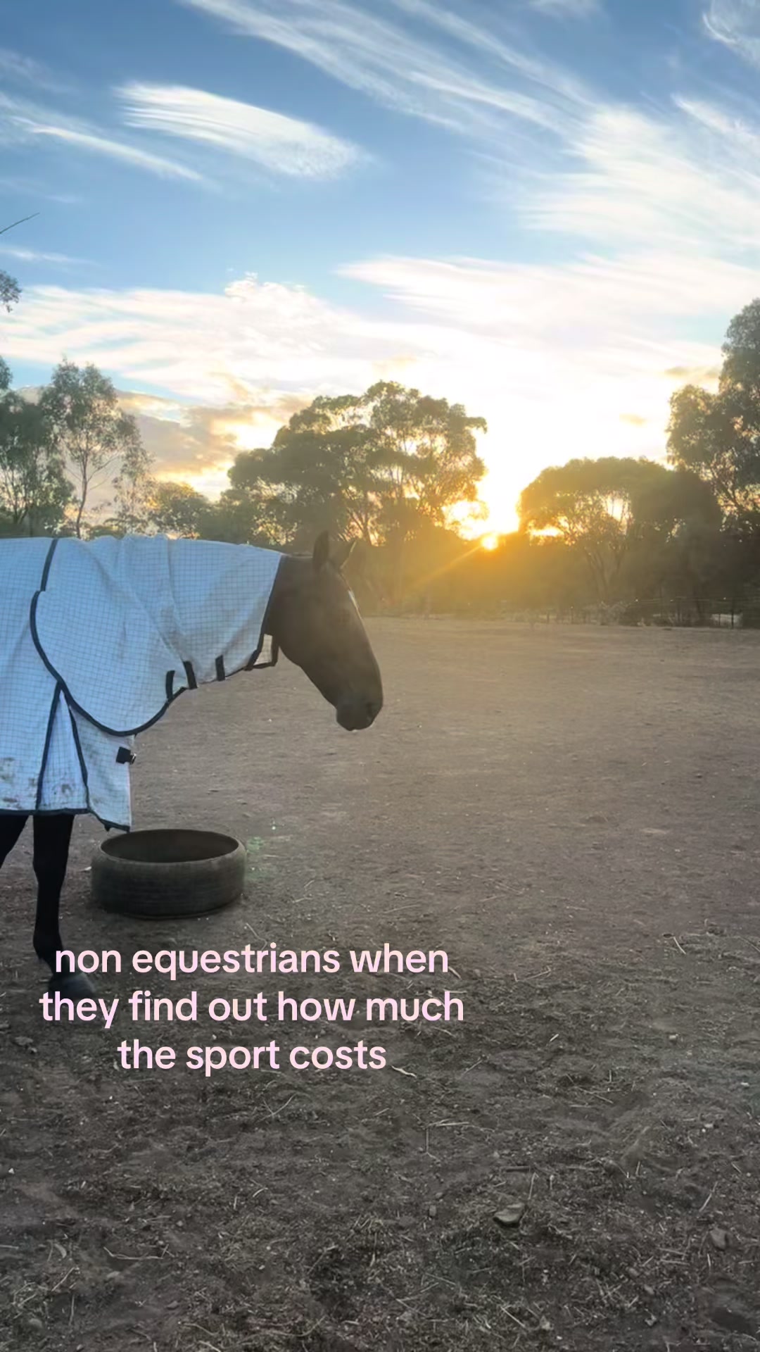 @t.equestrianxx