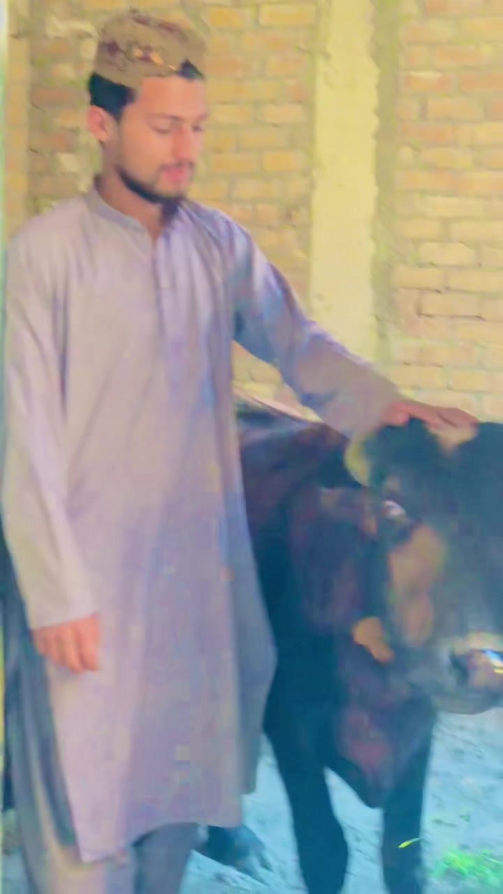 @* 🦅 S&acirc;&Icirc;d  &Aring;&ntilde;W&acirc;ر 🦅*