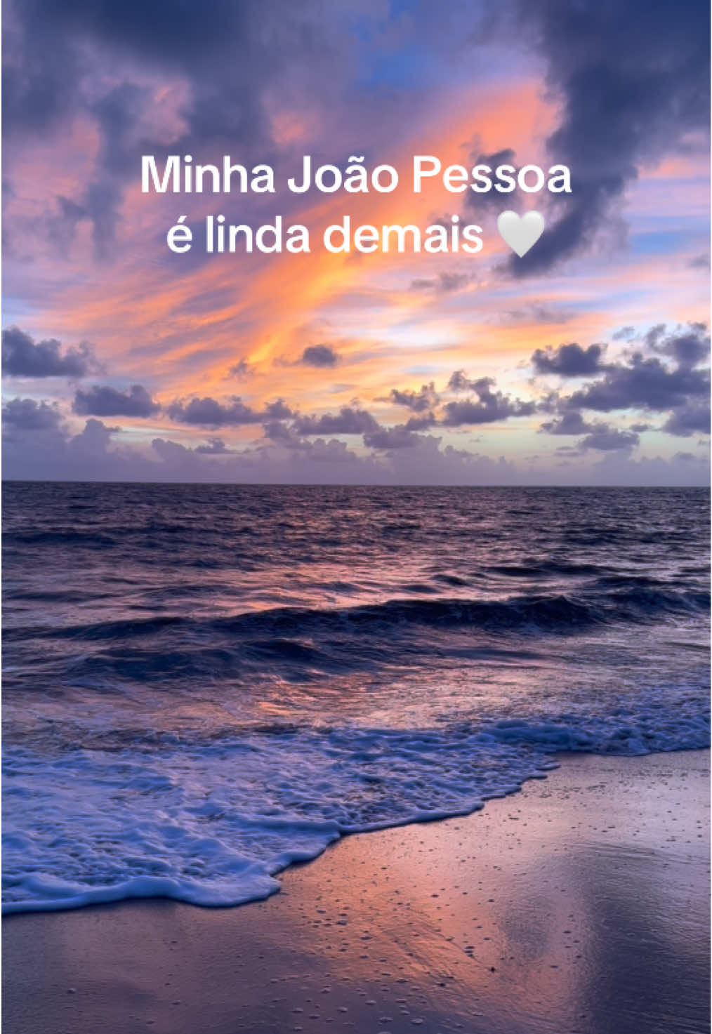 @carolnobrega_