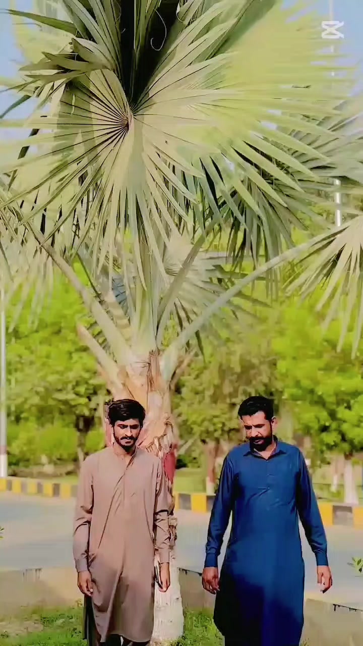 @✨👻ZEESHAN🖇️👑✨