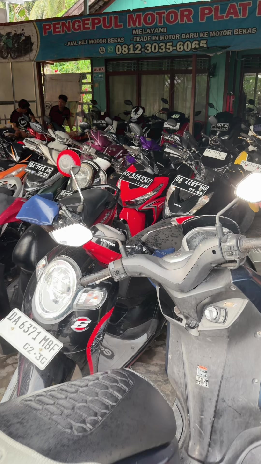 @pengepulmotortim