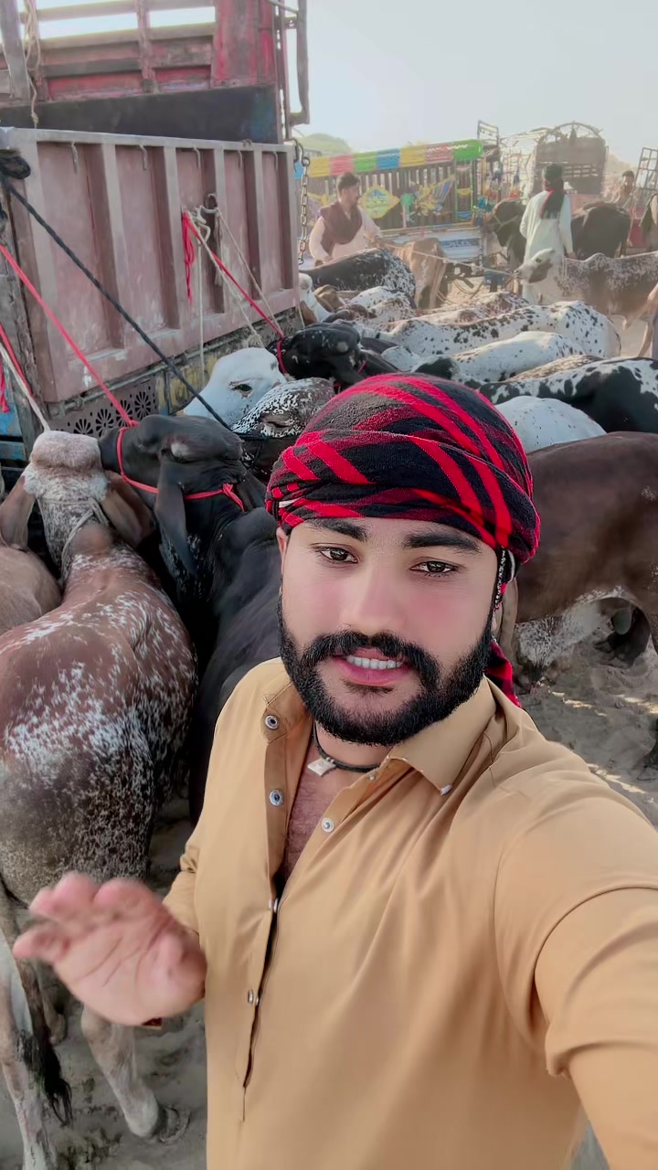 @Raza cattle farm 786