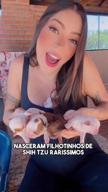 @Casa dos Ursinhos