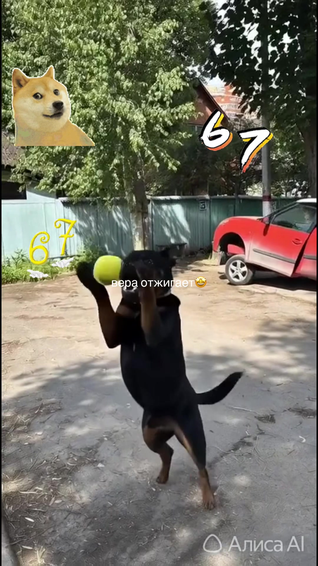 @vircruft
