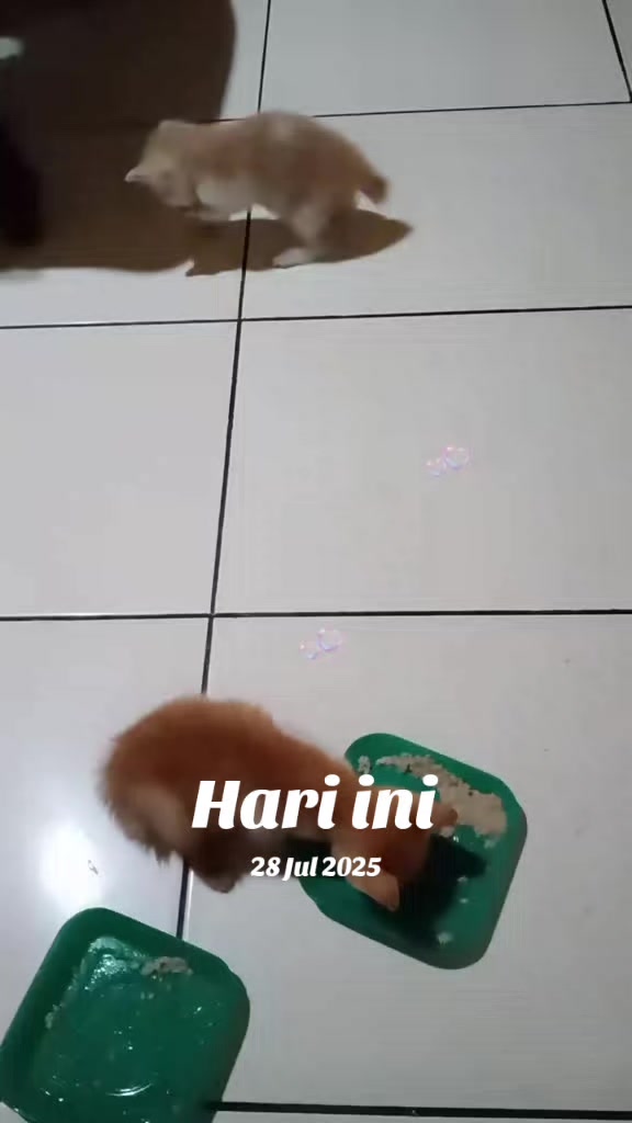 @Mulancake&cookies