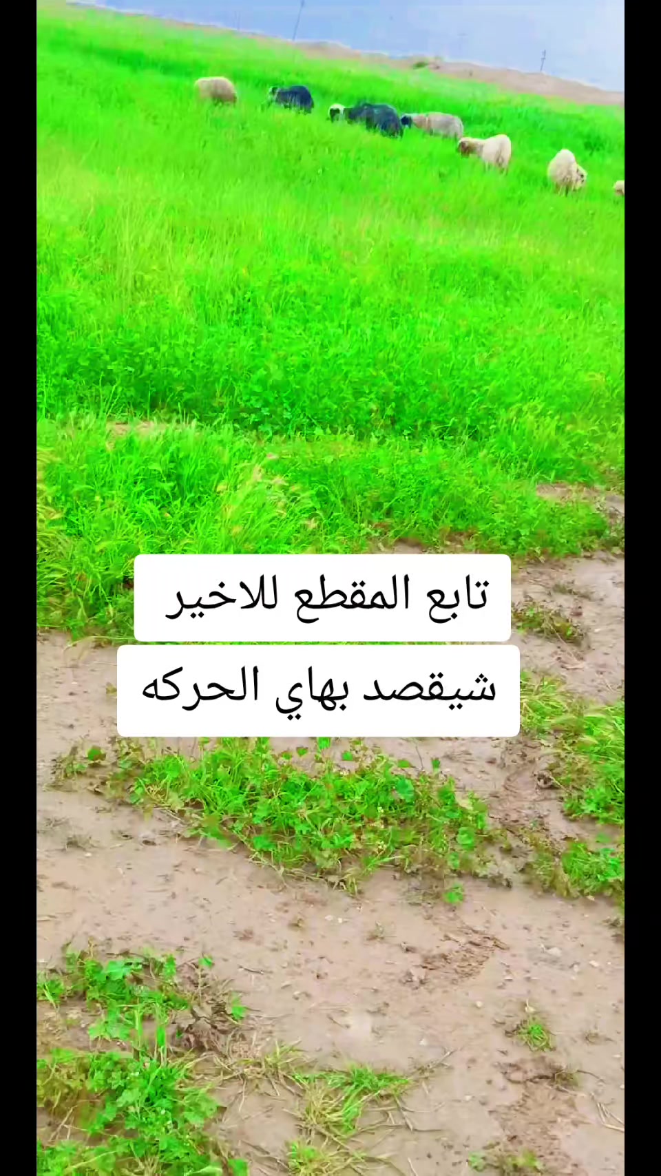 @خالد ابن العطيه